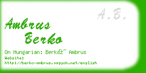 ambrus berko business card